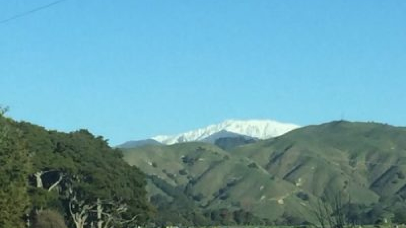 Classic Te Horo scene at foot of Tararua Range.  Backdrop to Sifu Shaw's new home north of Wellington.