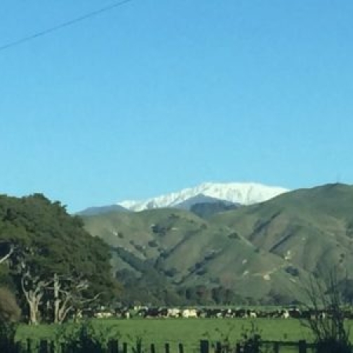 Classic Te Horo scene at foot of Tararua Range. Backdrop to Sifu Shaw's new home north of Wellington.